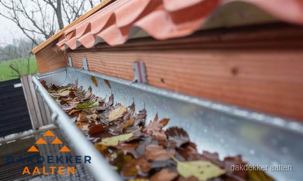 Dakgoot vol bladeren die gereinigd moet worden in Aalten Dakgoot vol bladeren die gereinigd moet worden in Aalten
