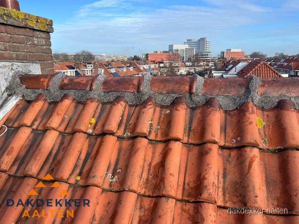 Pannendak met nokvorst en schoorsteen, dakrenovatie in Aalten Pannendak met nokvorst en schoorsteen, dakrenovatie in Aalten